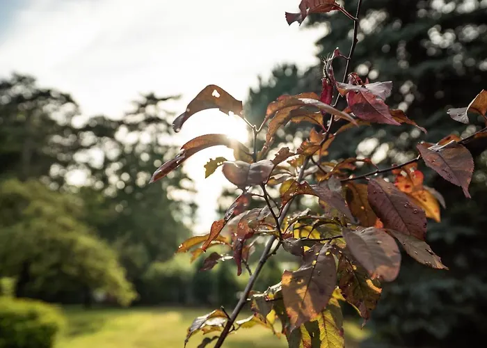 Im Ottenhai Apartmán